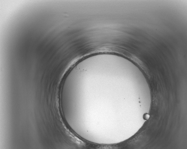 X0000061720950200512091957