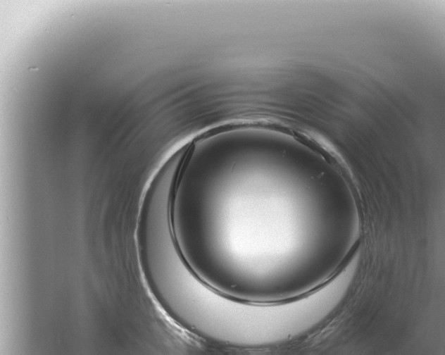 X0000061720951200512091957