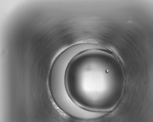 X0000061720952200512091957