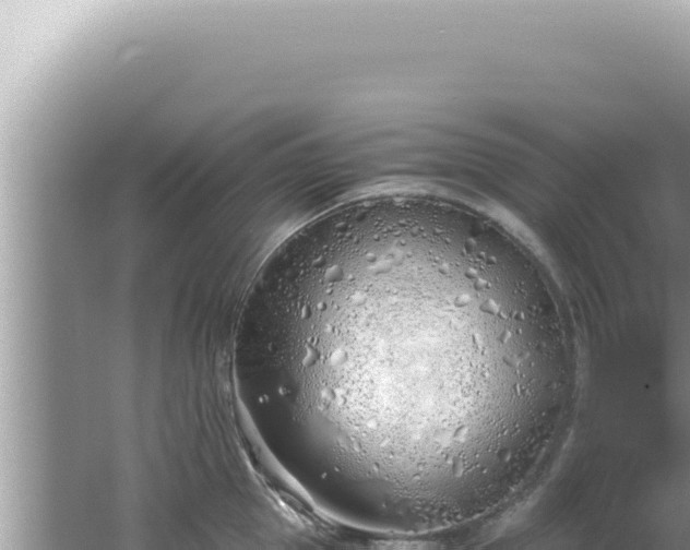 X0000061720953200512091957