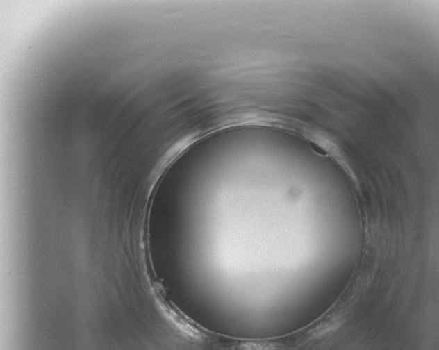 X0000061720954200512091957