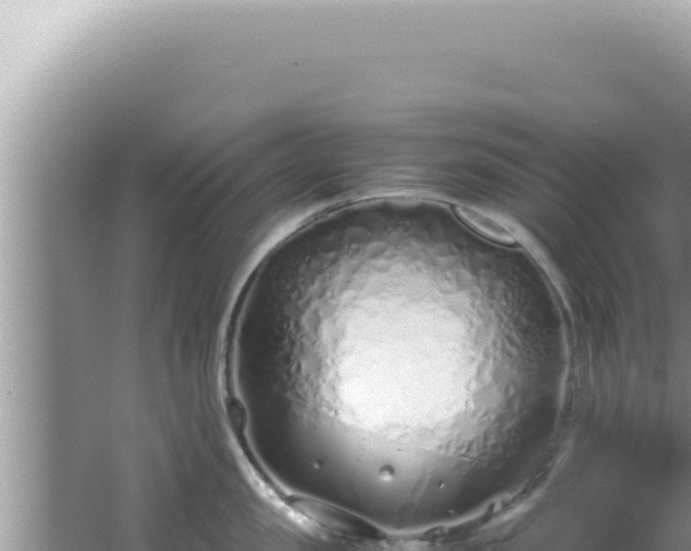 X0000061720957200512091957