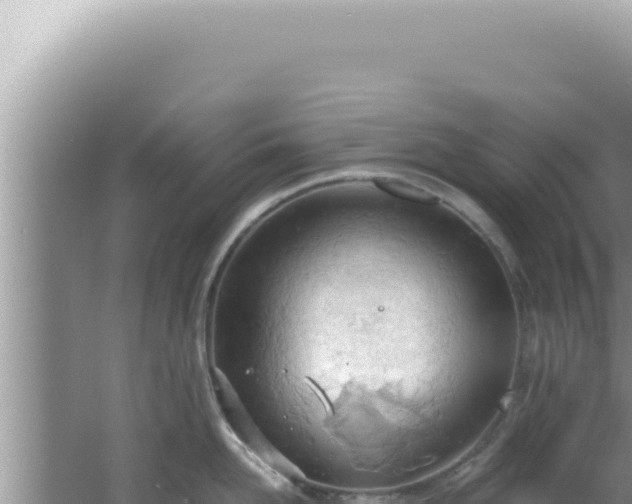 X0000061720958200512091957