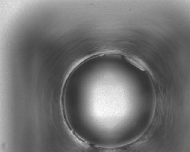 X0000061720959200512091957