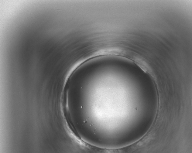 X0000061720960200512091957