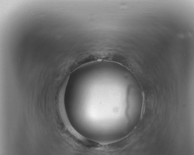 X0000061720961200512091956