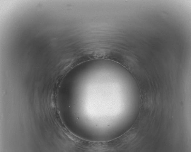 X0000061720962200512091956