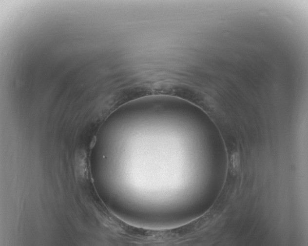 X0000061720963200512091956