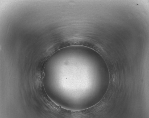 X0000061720964200512091956