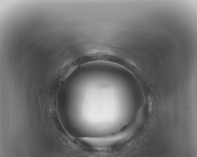 X0000061720965200512091956