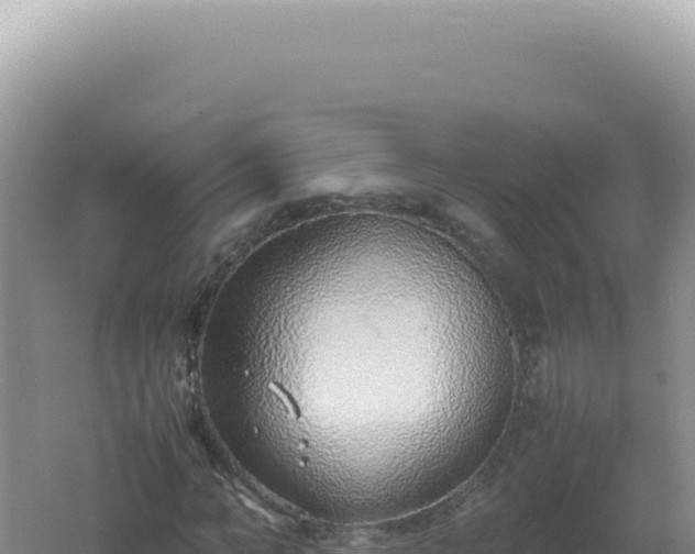 X0000061720966200512091956