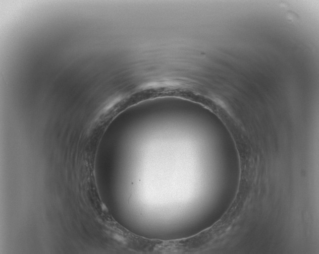 X0000061720967200512091956