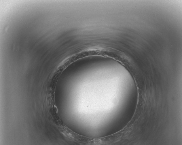 X0000061720968200512091956