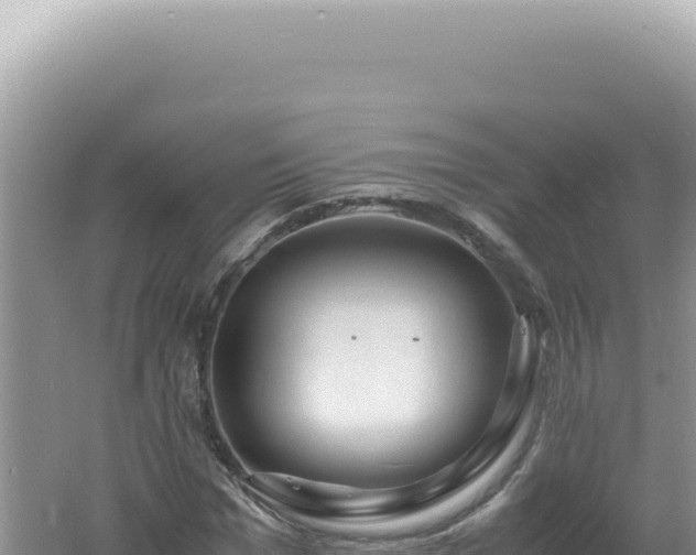 X0000061720969200512091956