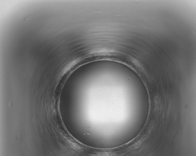 X0000061720970200512091956