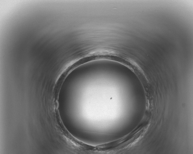 X0000061720973200512091956