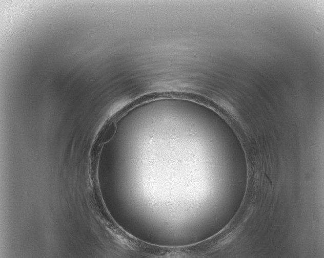 X0000061720974200512091956