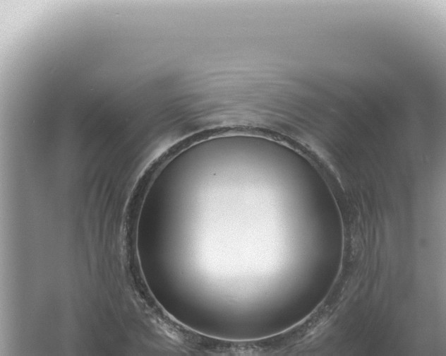 X0000061720975200512091956