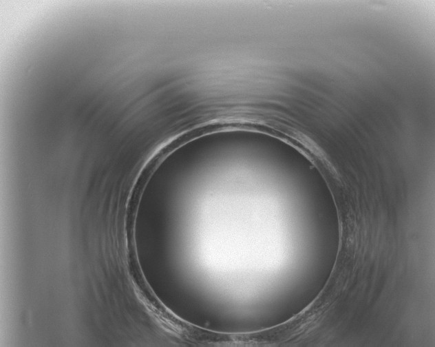 X0000061720980200512091956