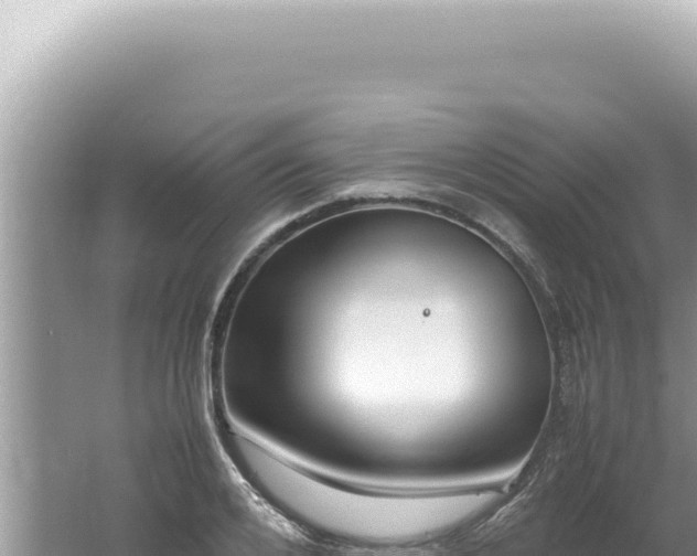 X0000061720984200512091956