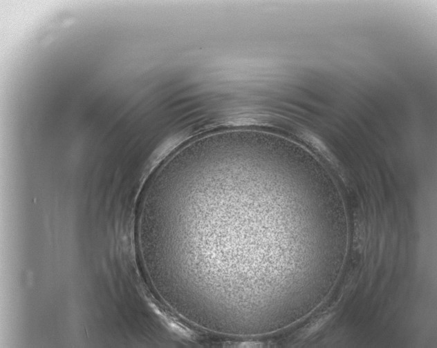 X0000061720986200512091956