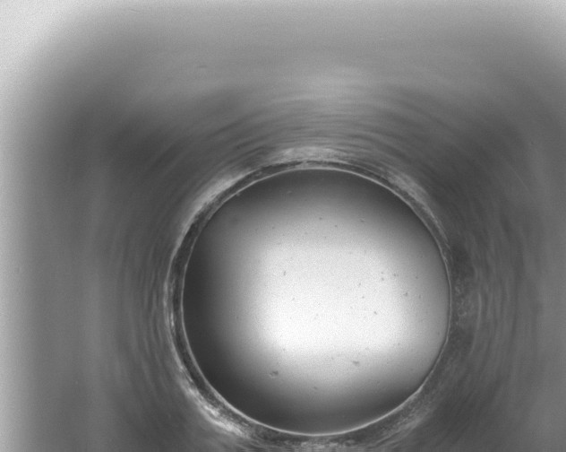 X0000061720987200512091956