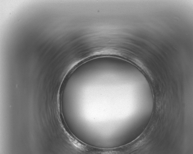 X0000061720988200512091956