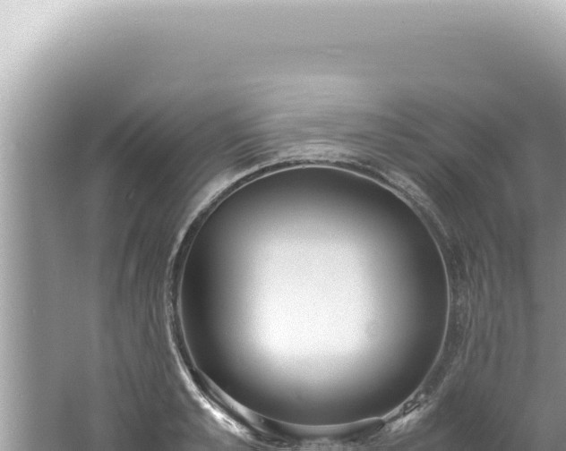 X0000061720989200512091956