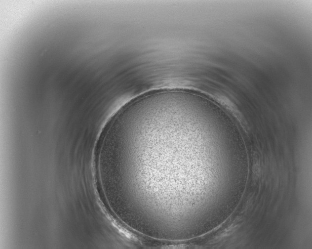 X0000061720990200512091956