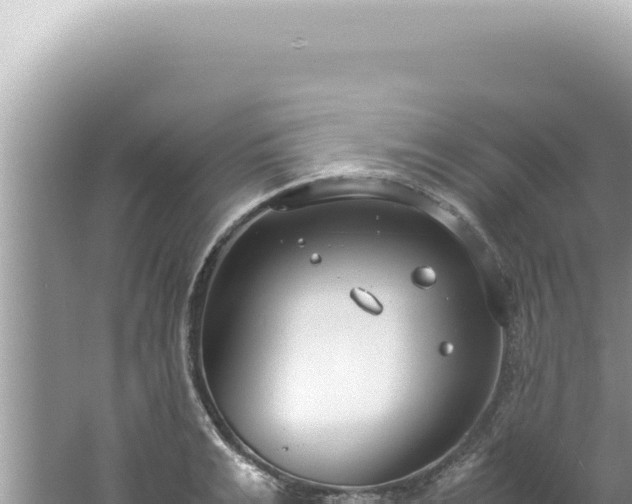 X0000061720991200512091956