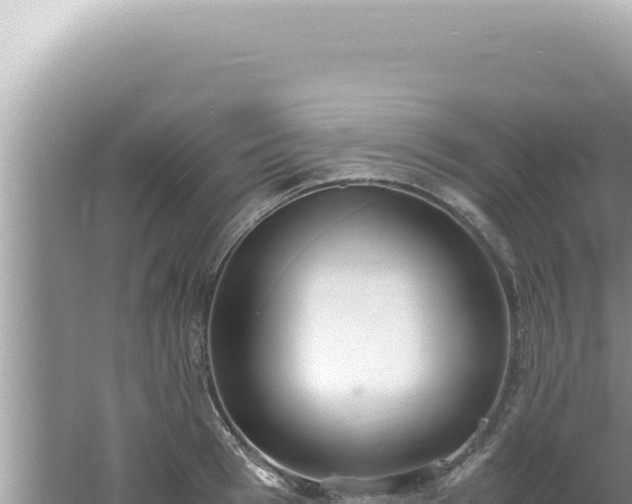 X0000061720993200512091956