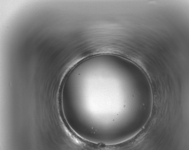 X0000061720995200512091956