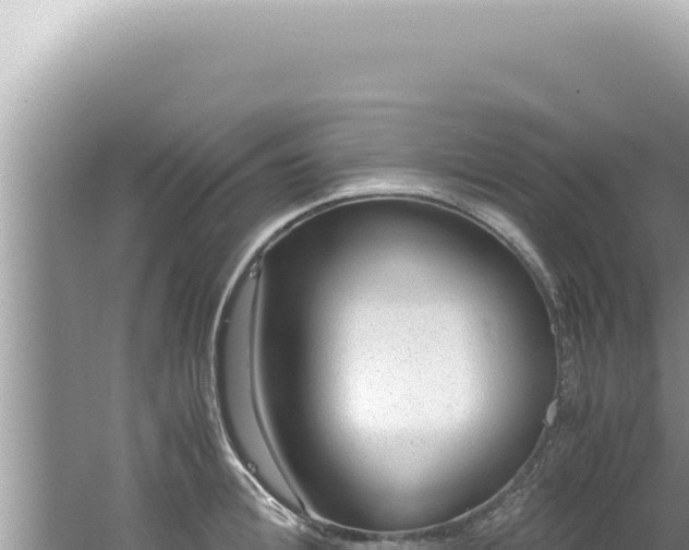 X0000061720996200512091955