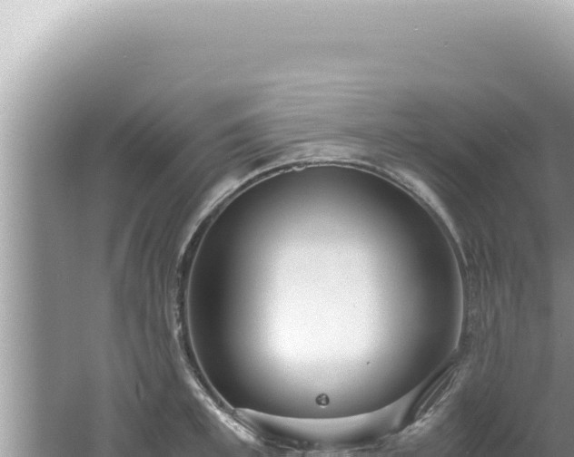 X0000061720997200512091955