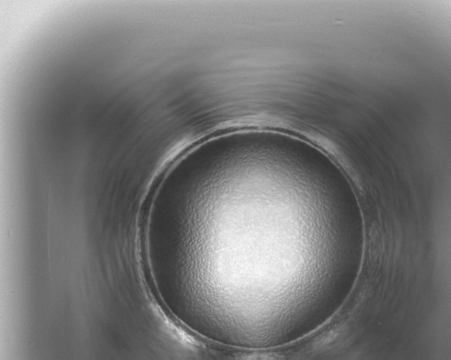 X0000061720998200512091955