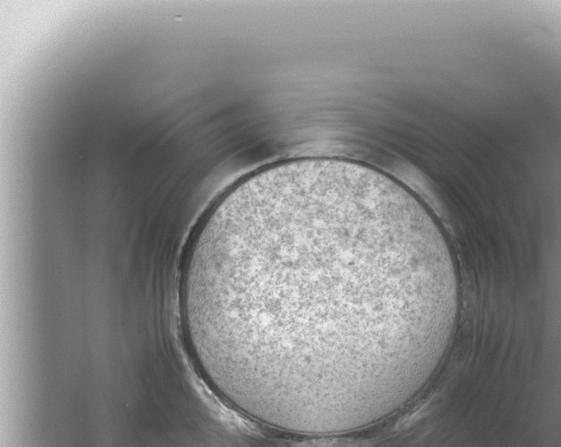 X0000061721000200512091955