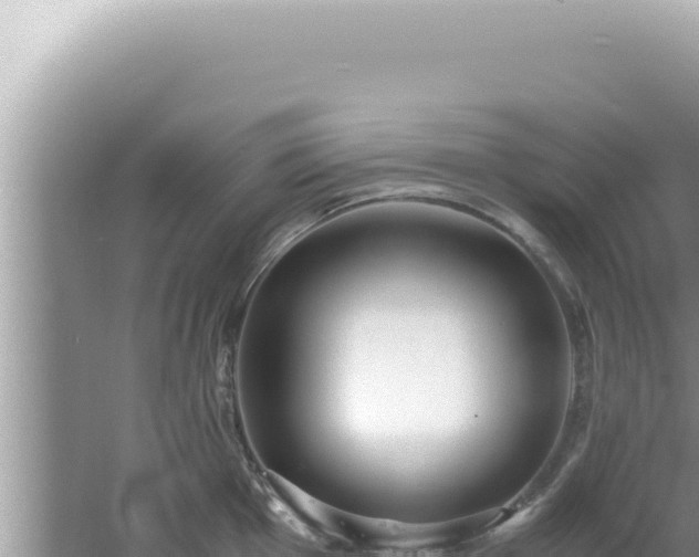 X0000061721001200512091955