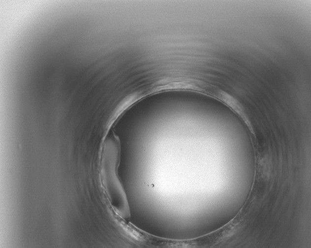 X0000061721002200512091955