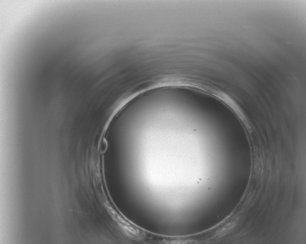 X0000061721004200512091955