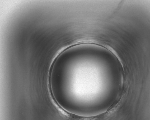 X0000061721005200512091955