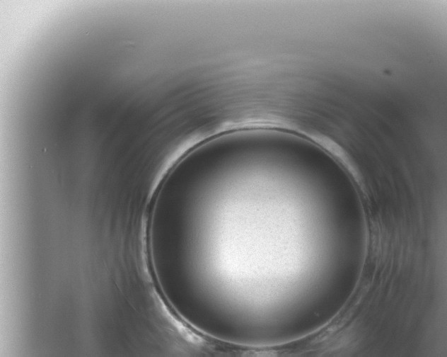 X0000061721006200512091955