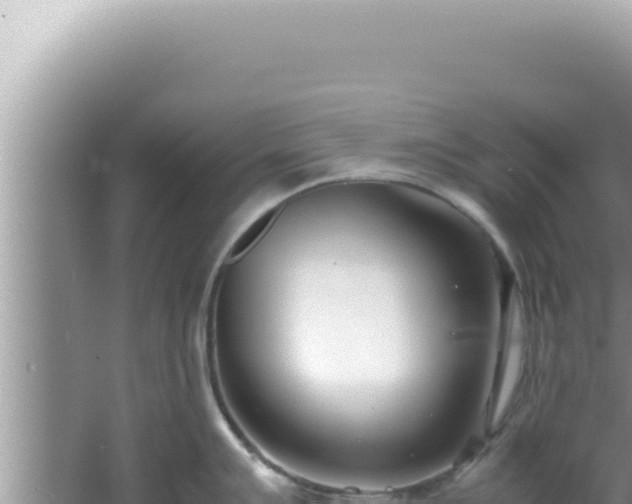 X0000061721007200512091955