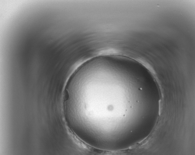 X0000061721008200512091955