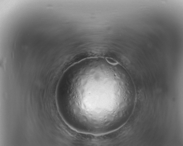 X0000061721009200512091954