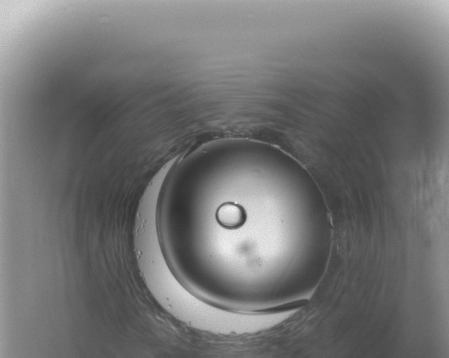 X0000061721010200512091954