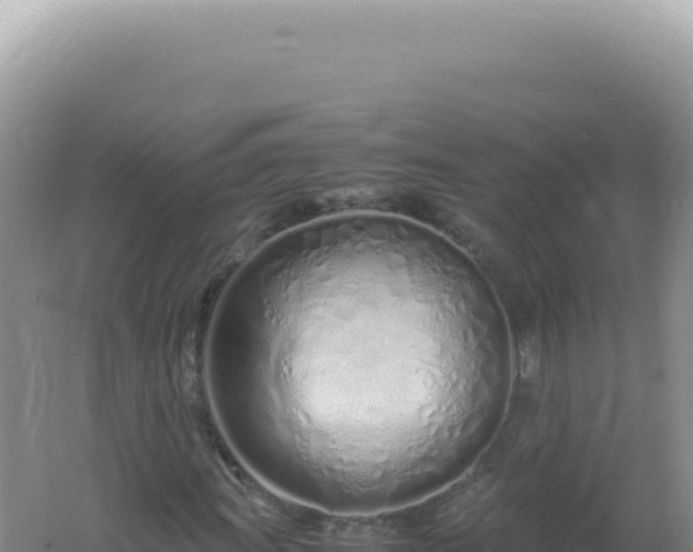 X0000061721011200512091955