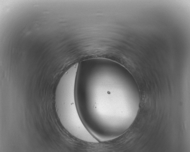 X0000061721012200512091955