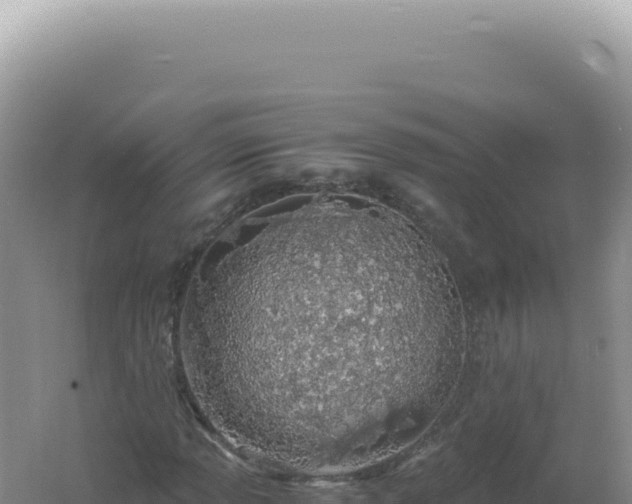 X0000061721013200512091955