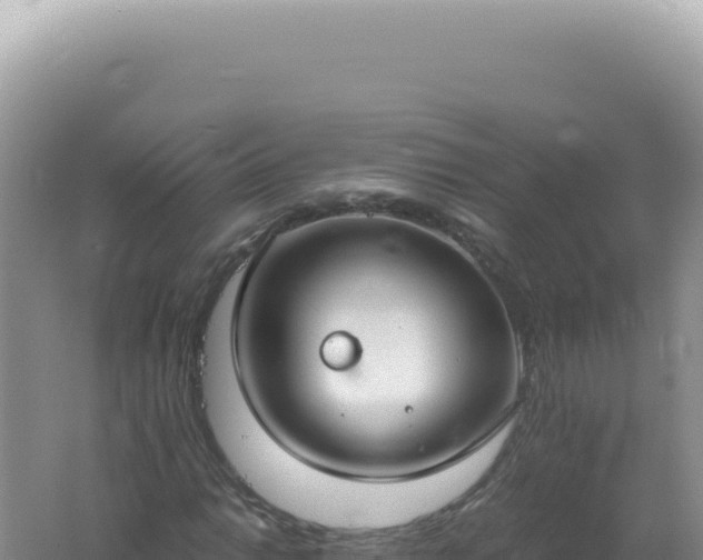 X0000061721014200512091955