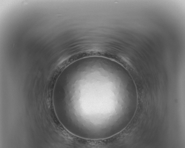 X0000061721015200512091955